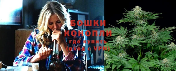 индика Магадан