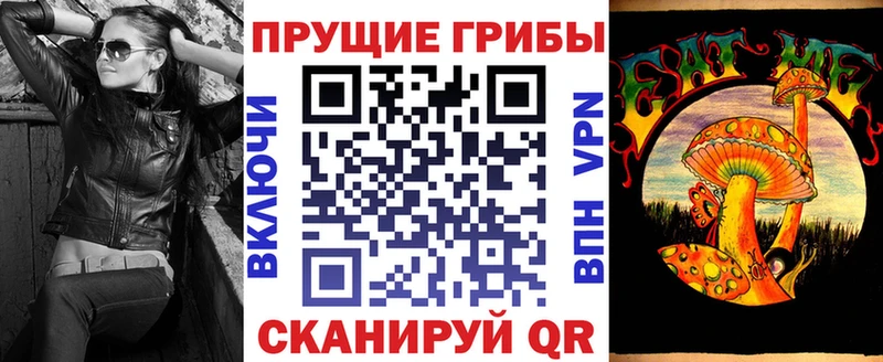 Галлюциногенные грибы Psilocybine cubensis закладки Реутов
