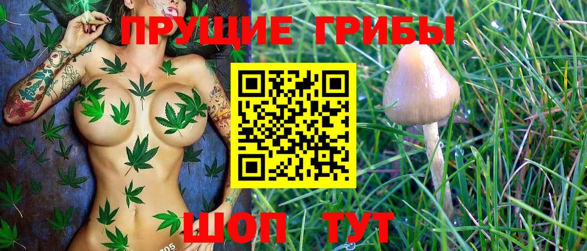 Реутов  Псилоцибиновые грибы Cubensis  купить наркотики сайты  Псилоцибиновые грибы MAGIC MUSHROOMS  Вход с VPN 